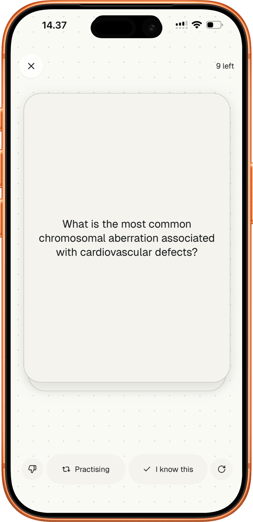 Lexie flashcard interface